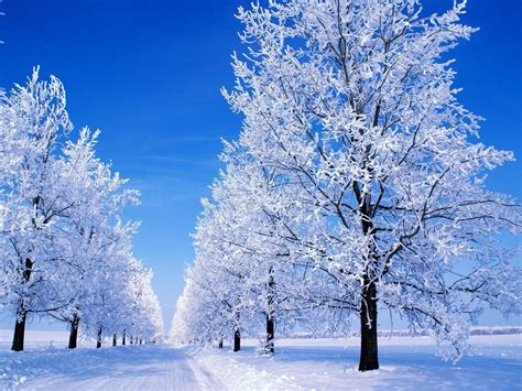What is Snow .